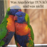 Was Angehörige tun können und was nicht.